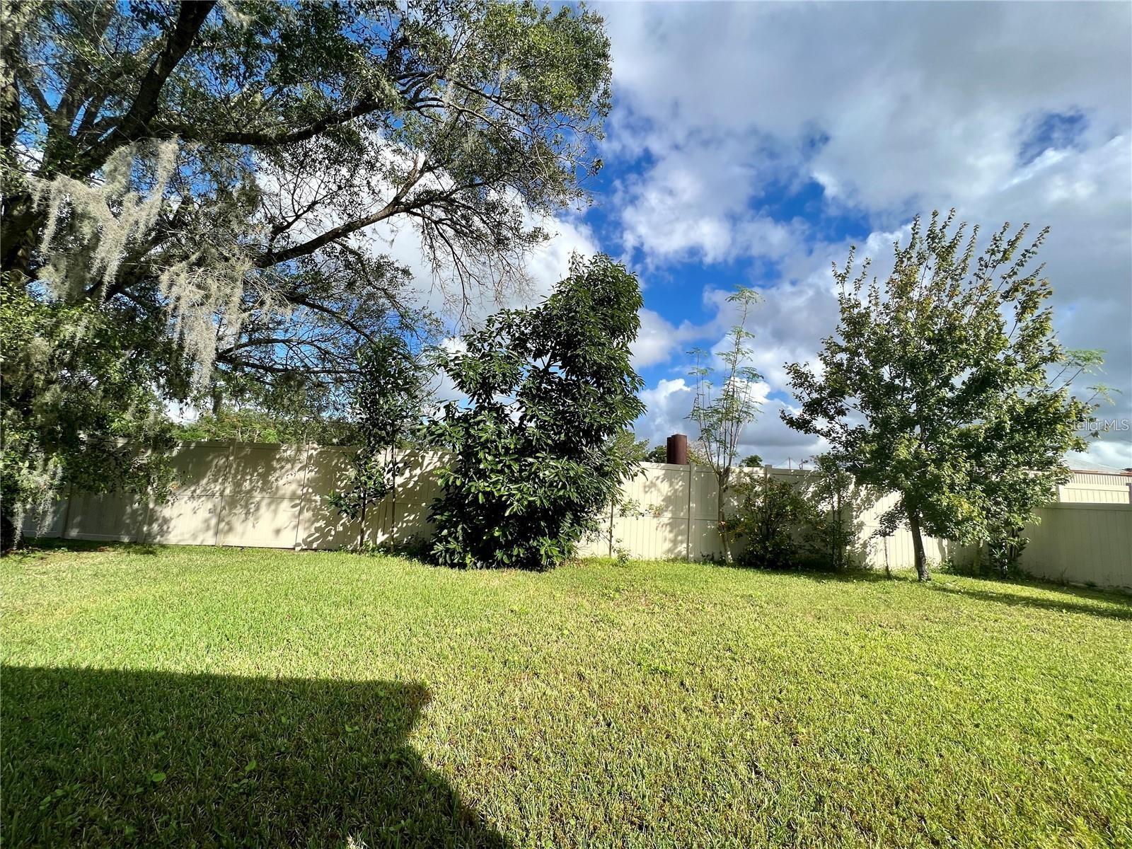 10007 Leyburn Ct Property Photo 14