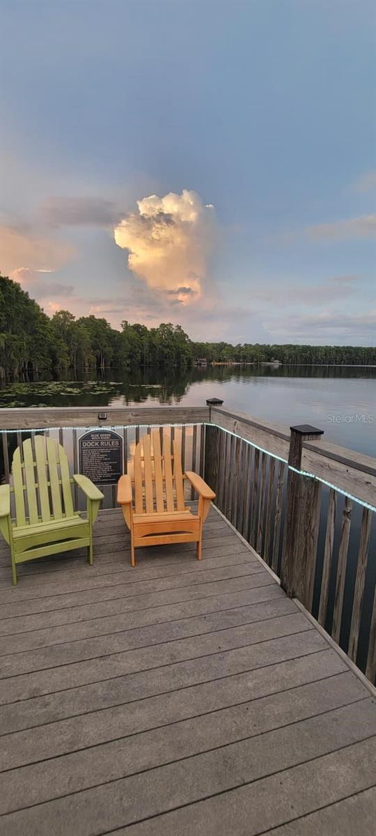 13427 Blue Heron Beach Dr #1405 Property Photo 55