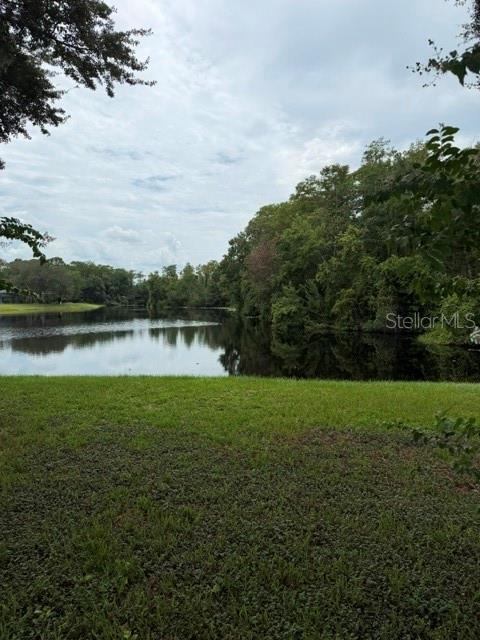 10148 Pink Carnation Ct Property Photo 32