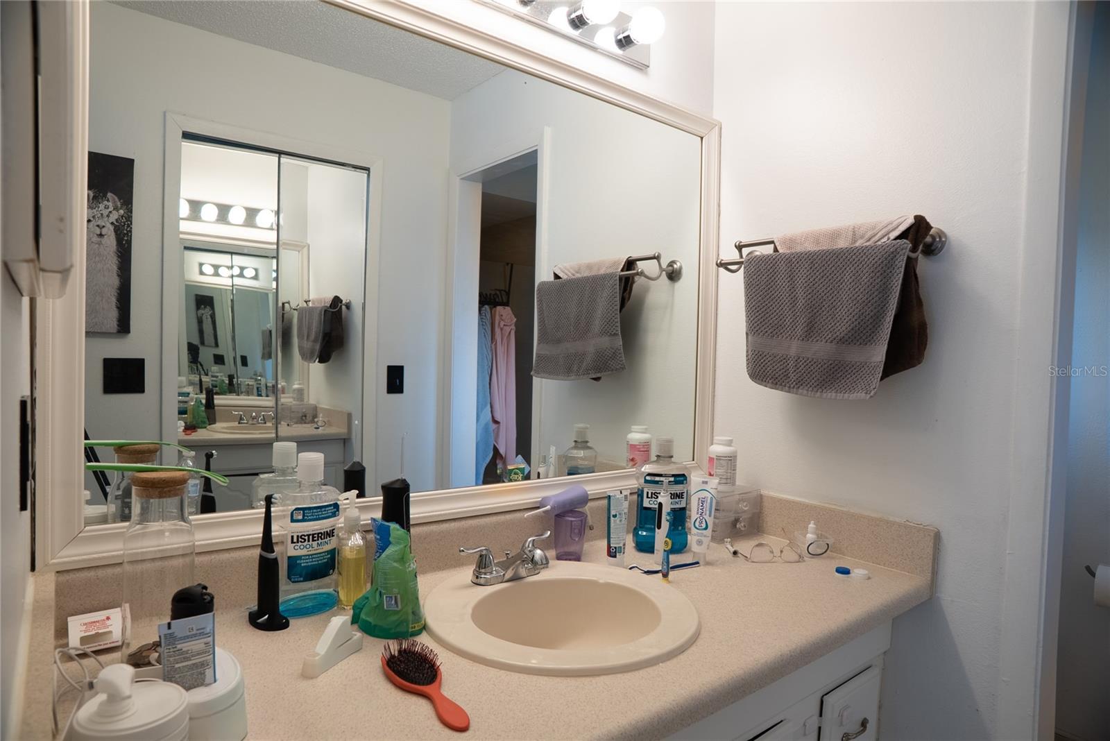 304 Shadow Oak Dr Property Photo 21