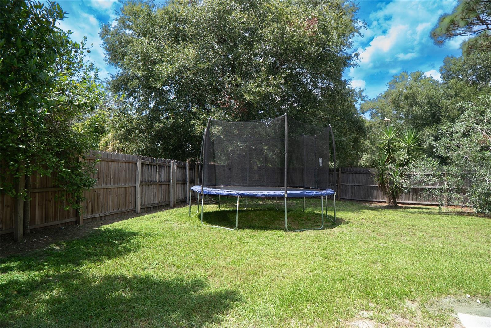 304 Shadow Oak Dr Property Photo 36