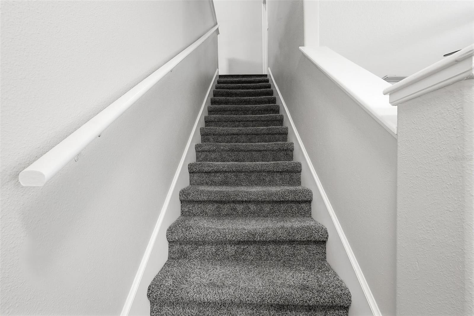 13157 Thoroughbred Loop Property Photo 19