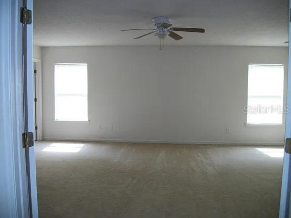 72 Rollins Ln Property Photo 6