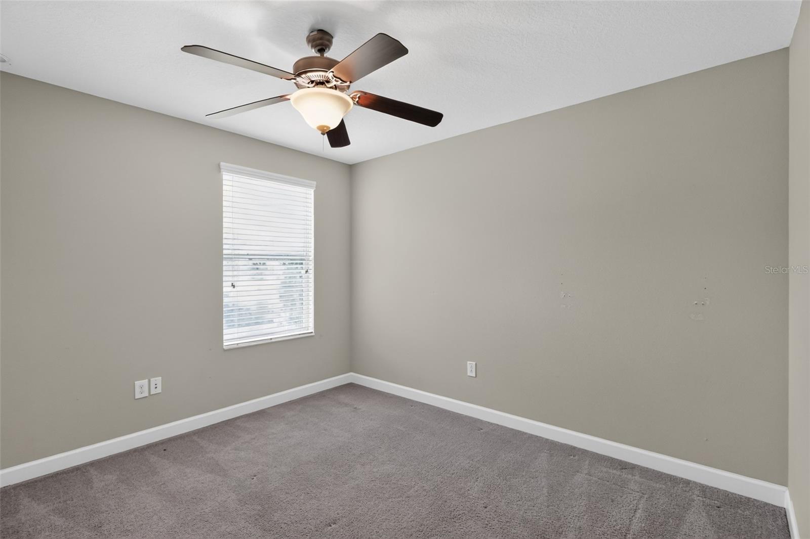 1677 Ludington Ave Property Photo 27