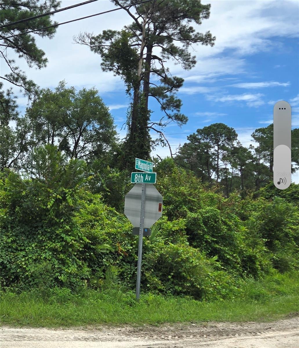 1201 8th Ave Property Photo 2