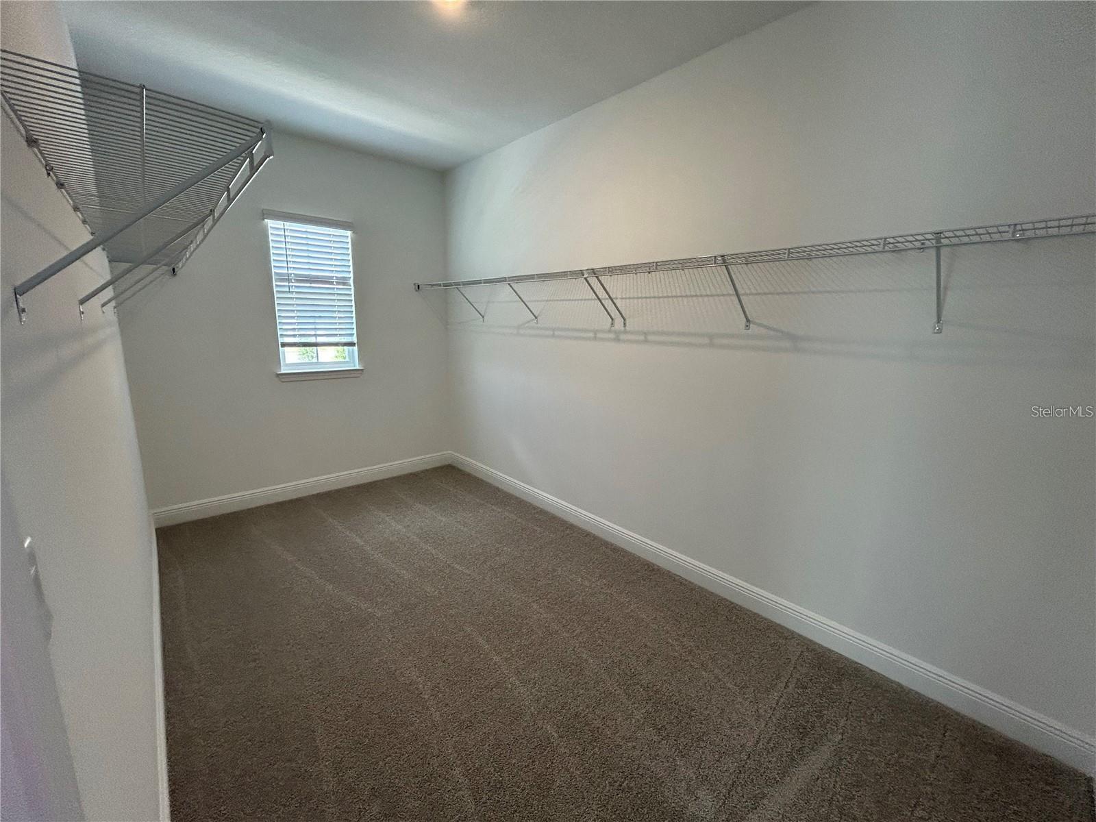 16902 Hamlin Oasis Loop Property Photo 15