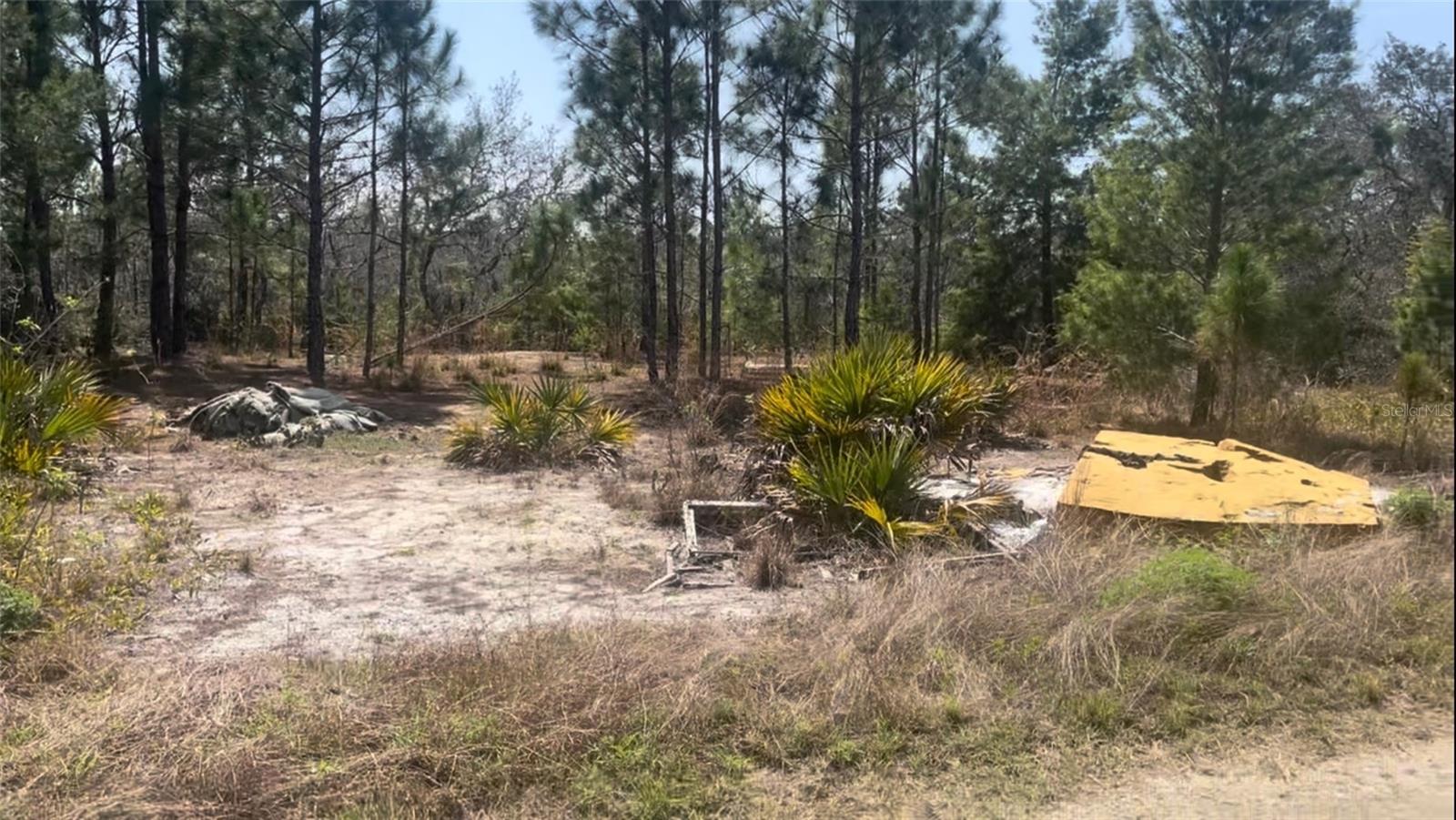 246 CASPIAN TERN AVE Property Photo 1