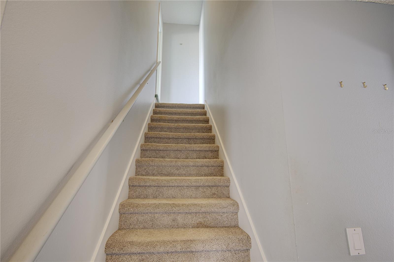 2688 Sugar Pine Run Property Photo 32
