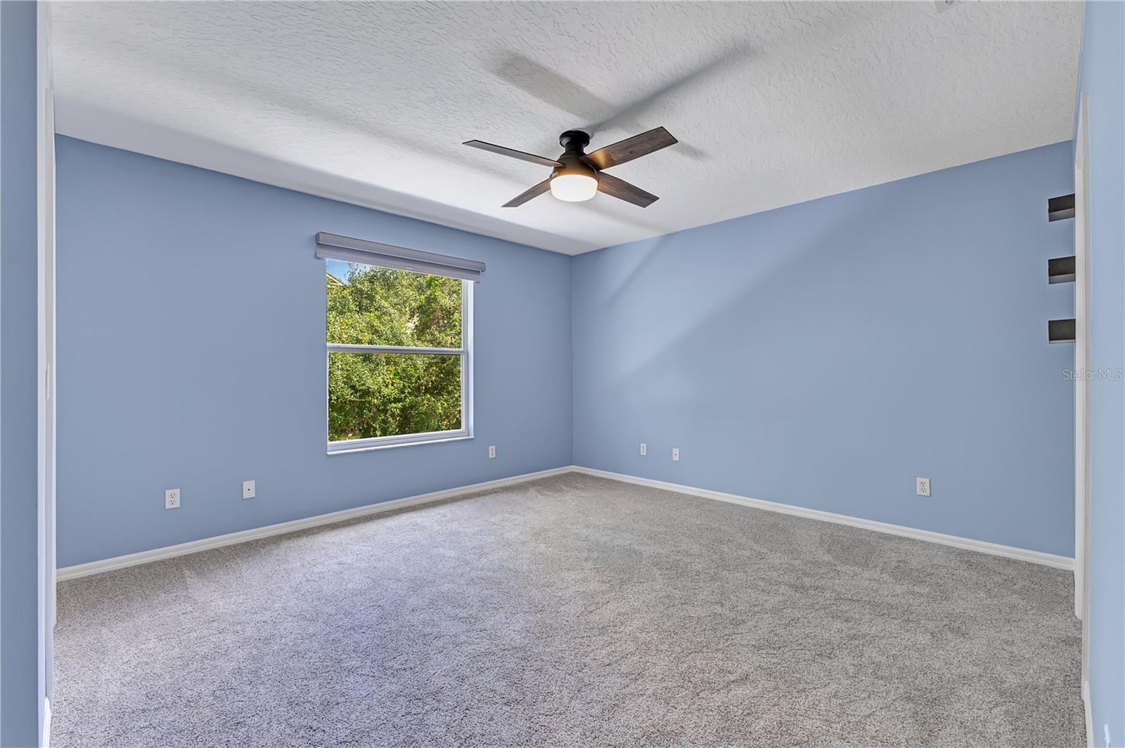 942 Coquina Rock St Property Photo 13