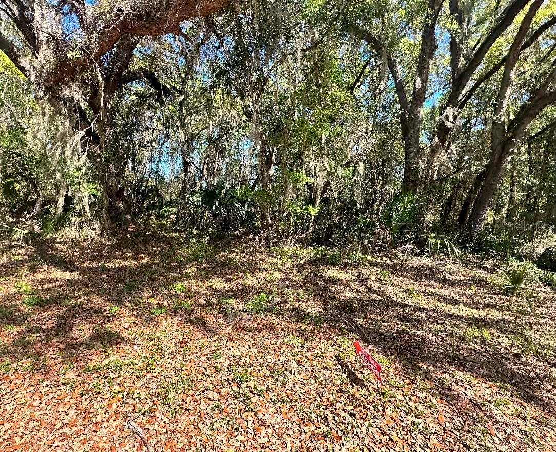 Guava Ter Property Photo 1