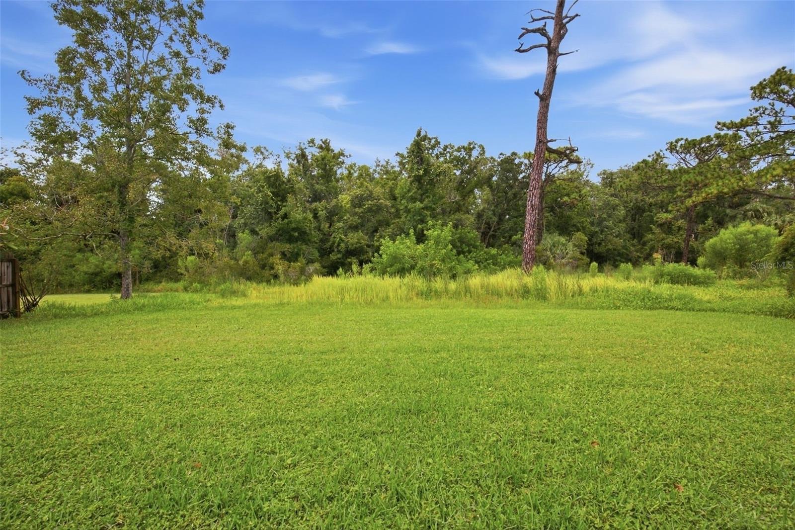 8531 Horizon Ln Property Photo 33
