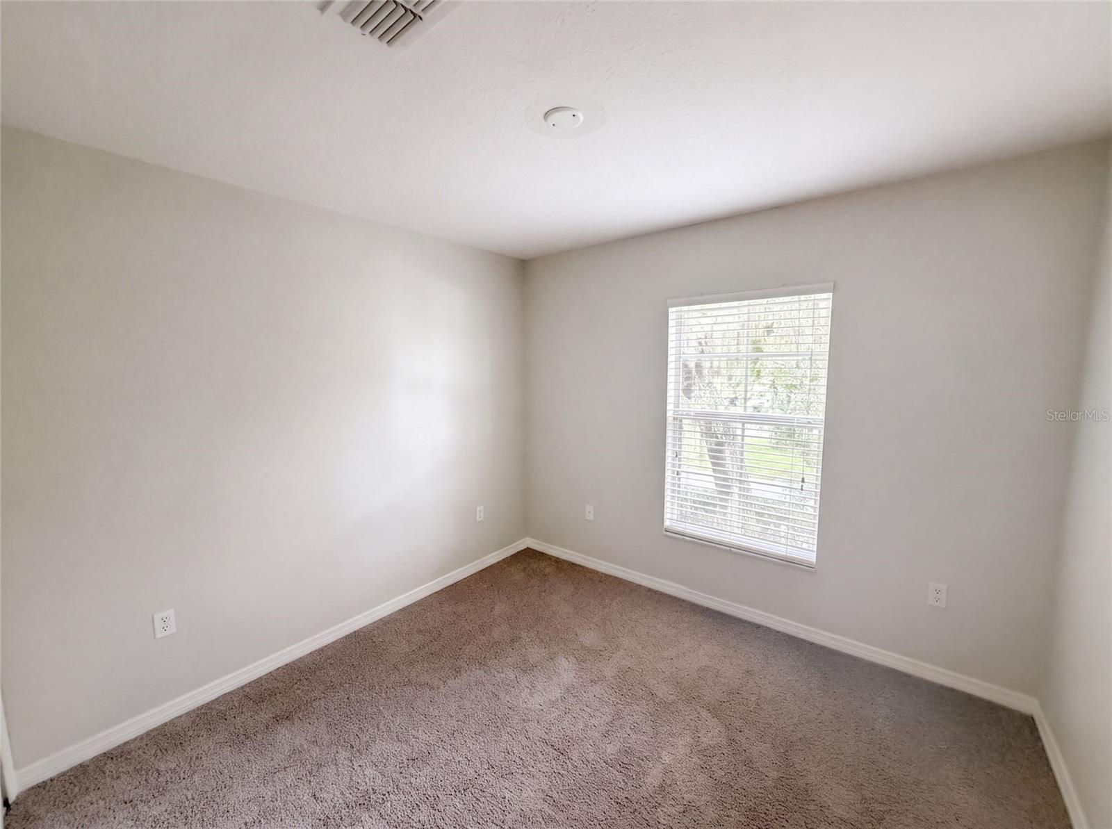 37557 Daliha Ter Property Photo 18