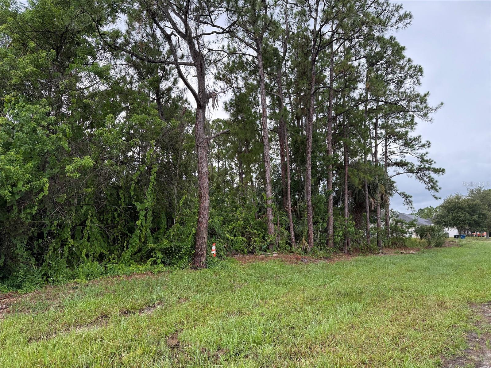 2361 San Filippo Dr Se Property Photo 2