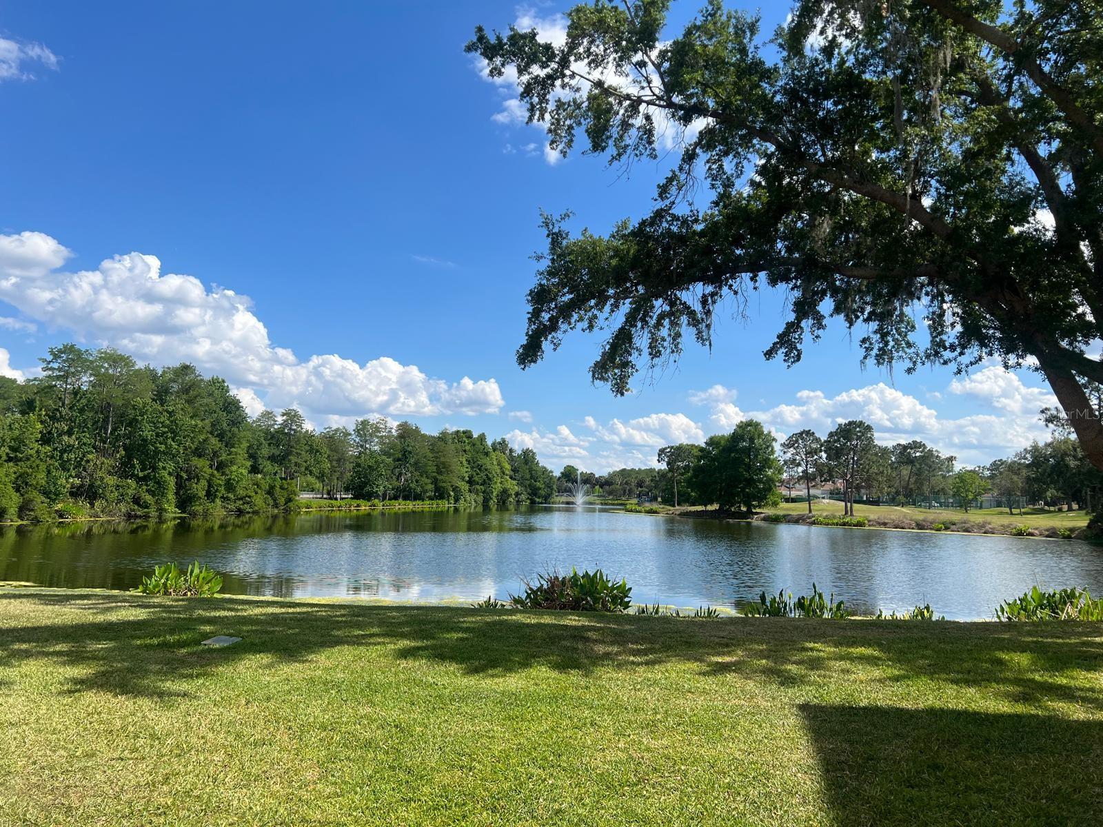 13560 Turtle Marsh Loop #338 Property Photo 17