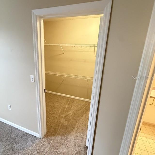 5536 Metrowest Blvd #8-201 Property Photo 12
