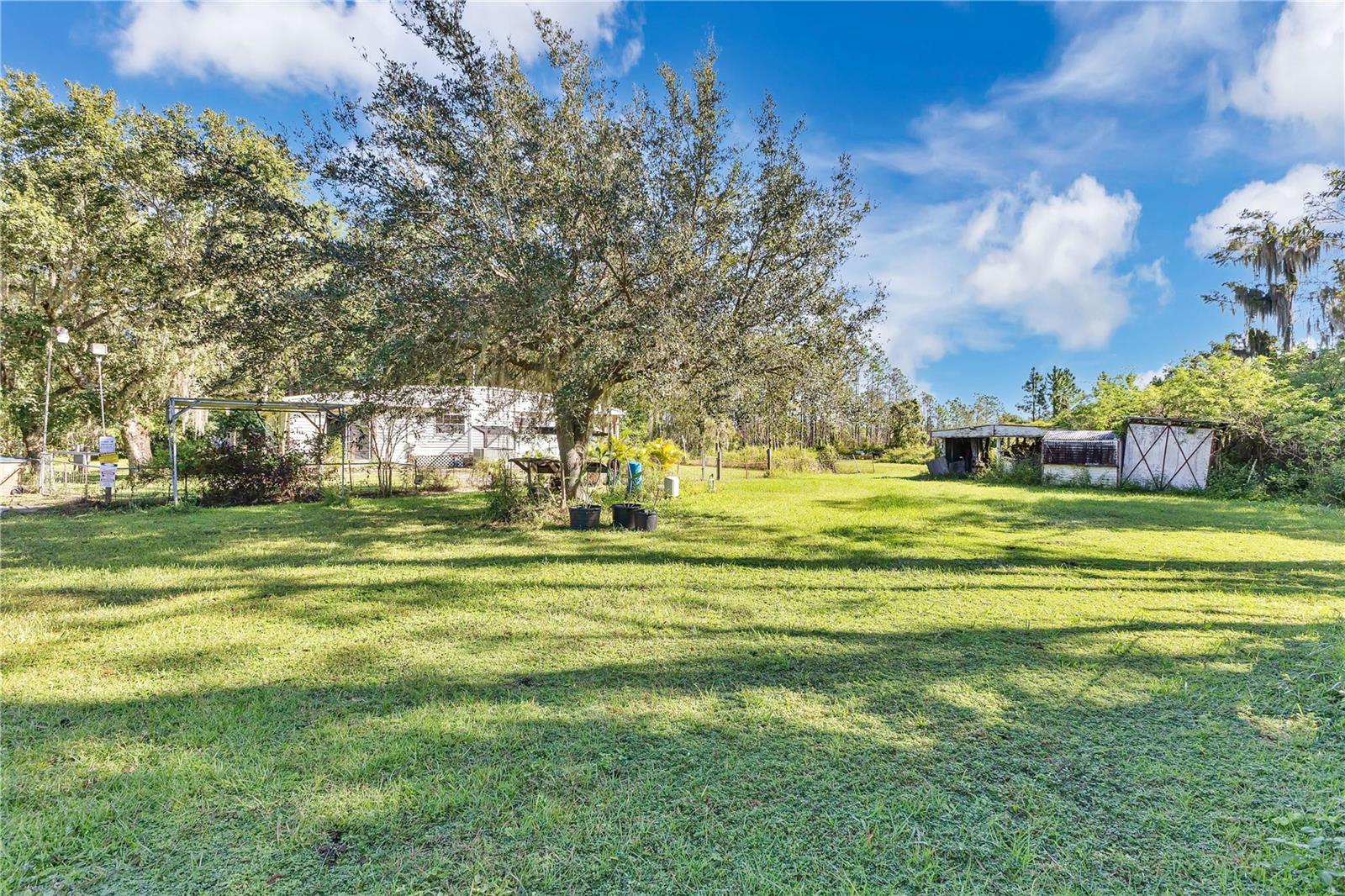 5879 Leon Tyson Rd Property Photo 7