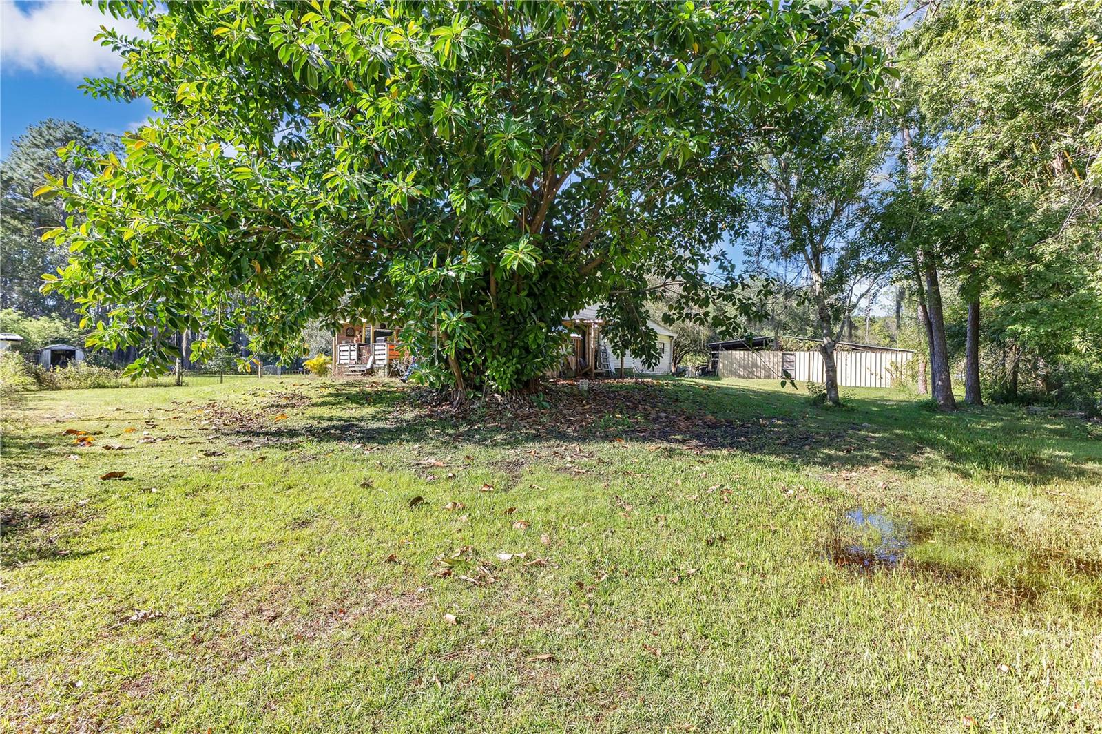 5879 Leon Tyson Rd Property Photo 11