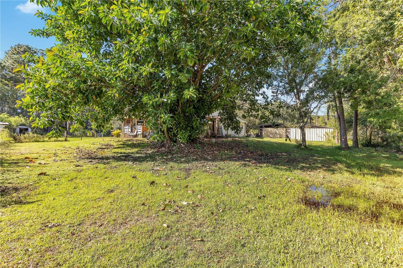 5879 Leon Tyson Rd Property Photo 12
