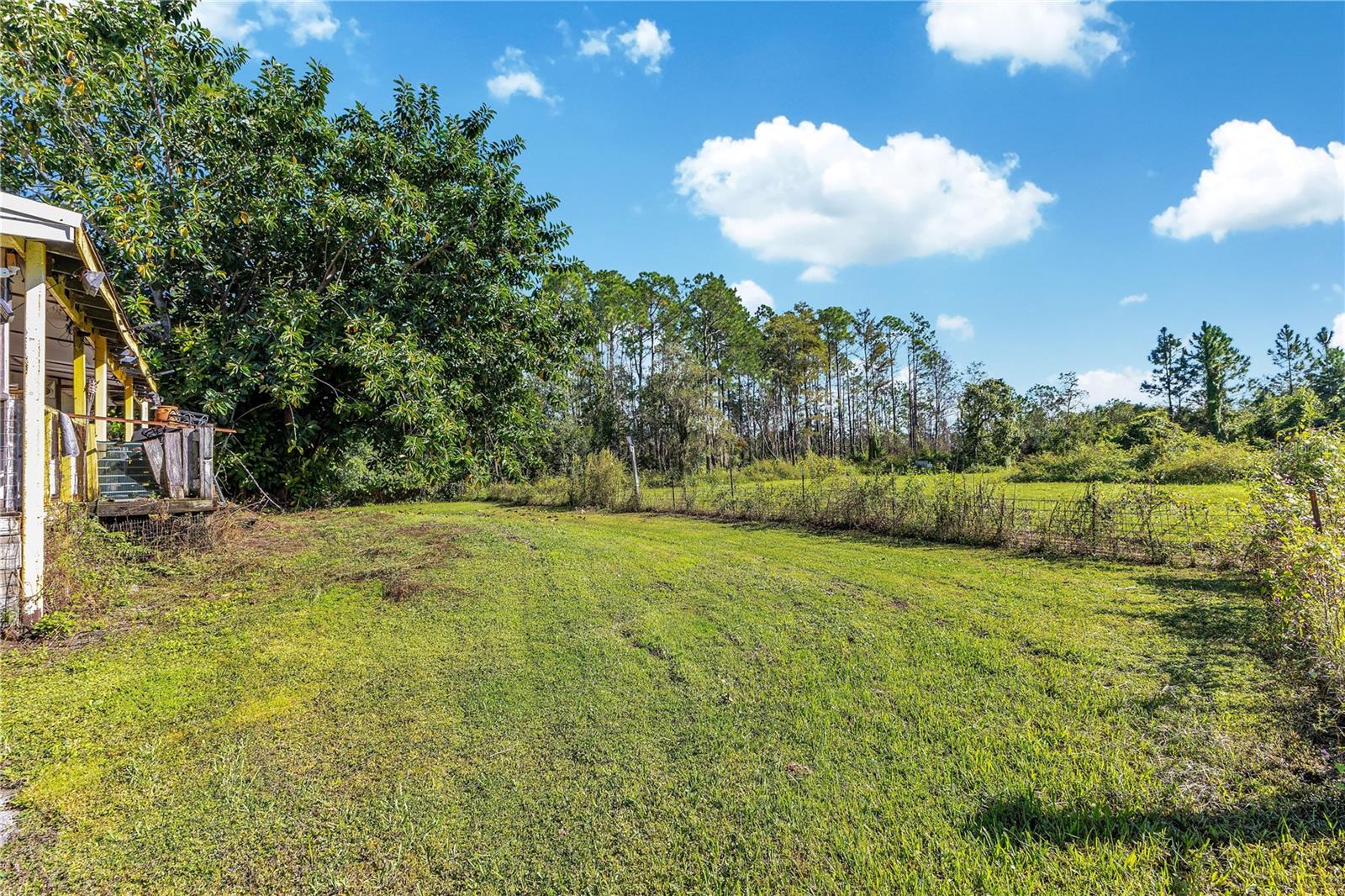 5879 Leon Tyson Rd Property Photo 13