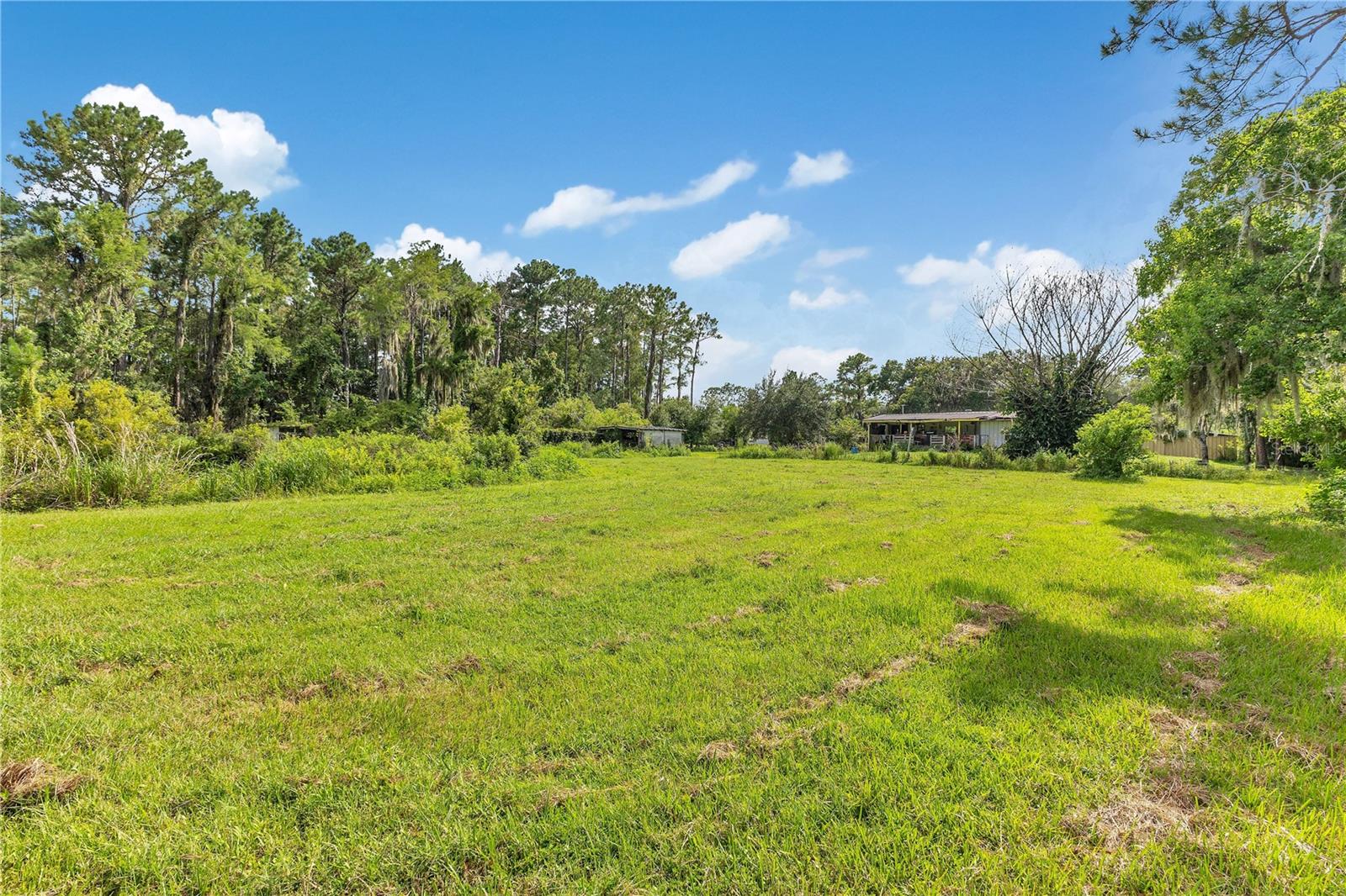 5879 Leon Tyson Rd Property Photo 16