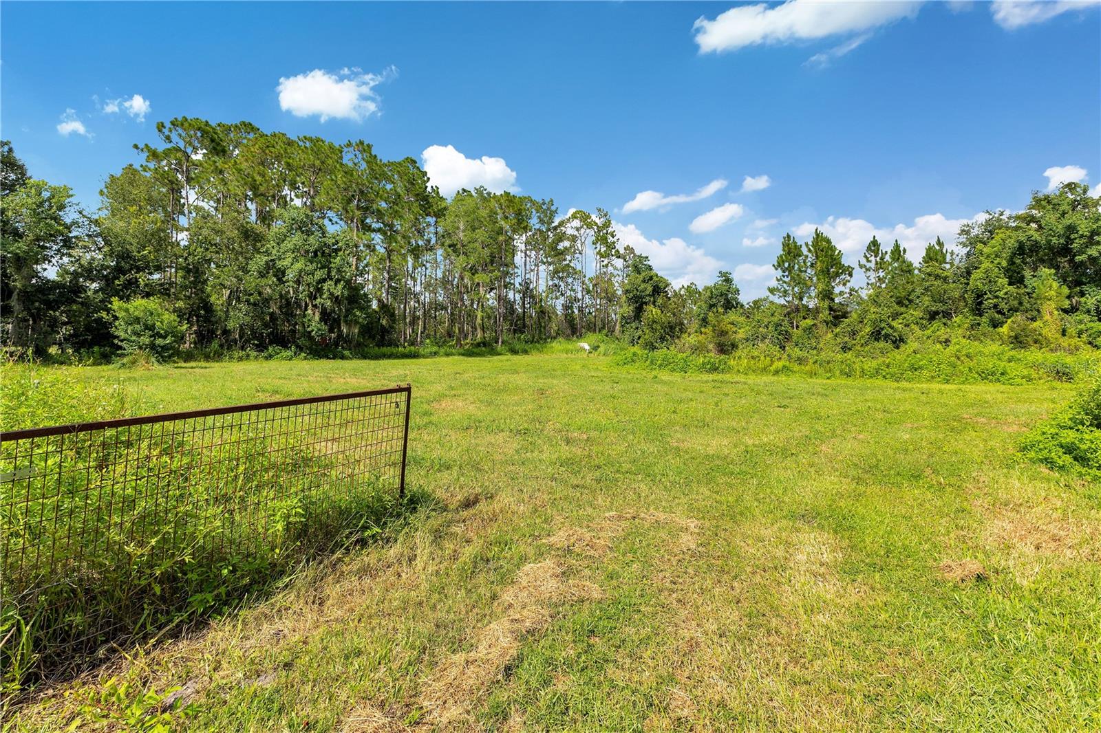 5879 Leon Tyson Rd Property Photo 17