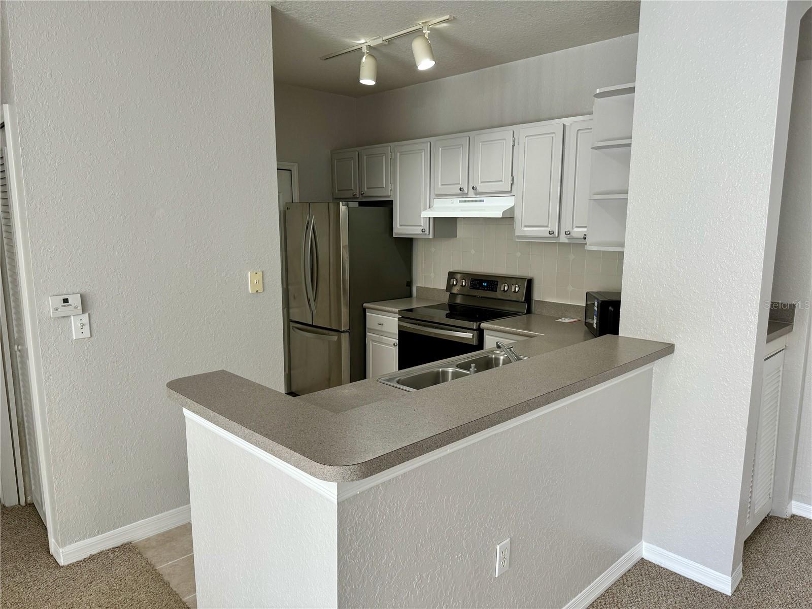 1475 Lake Shadow Cir #6105 Property Photo 6
