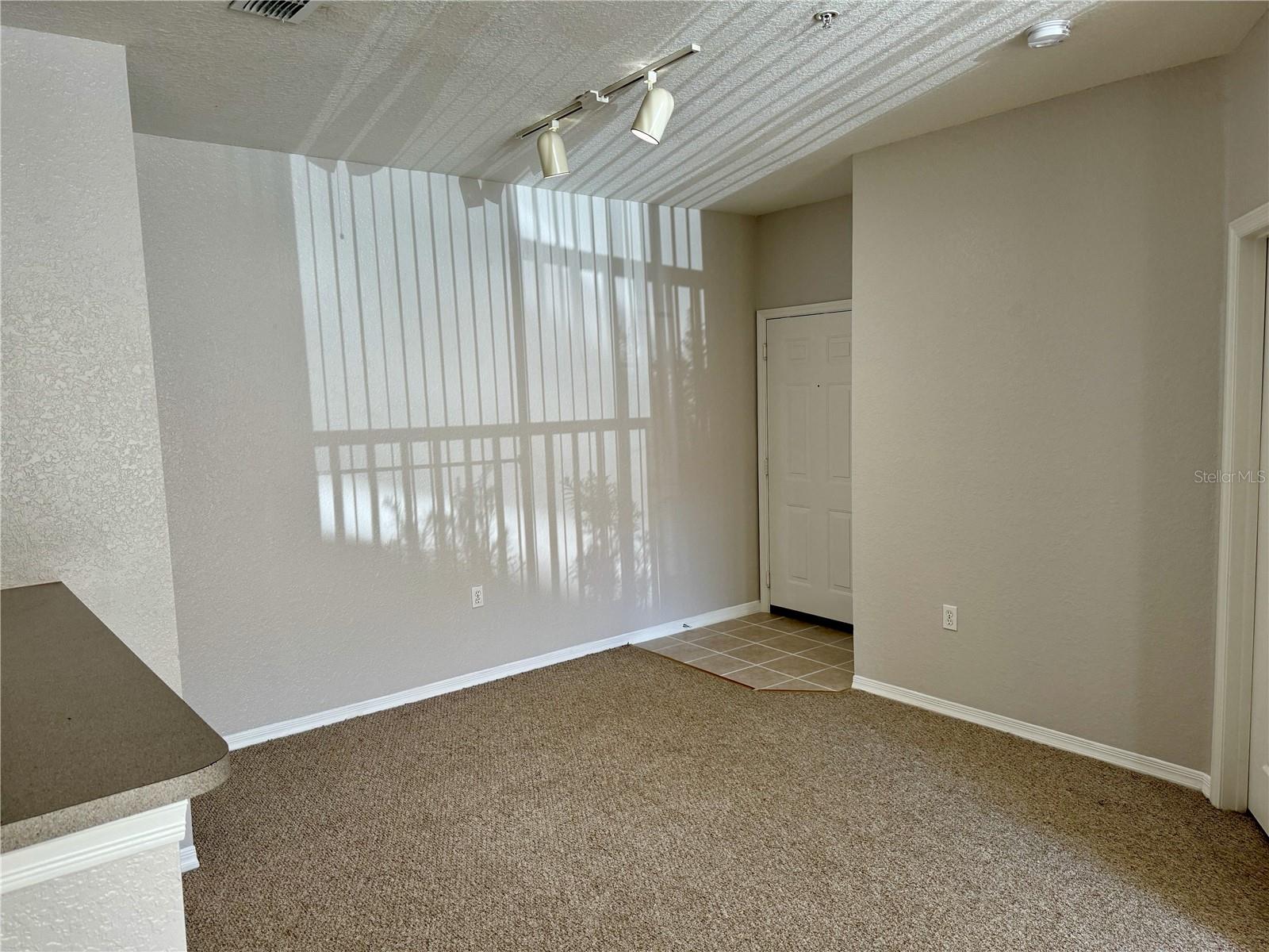 1475 Lake Shadow Cir #6105 Property Photo 13