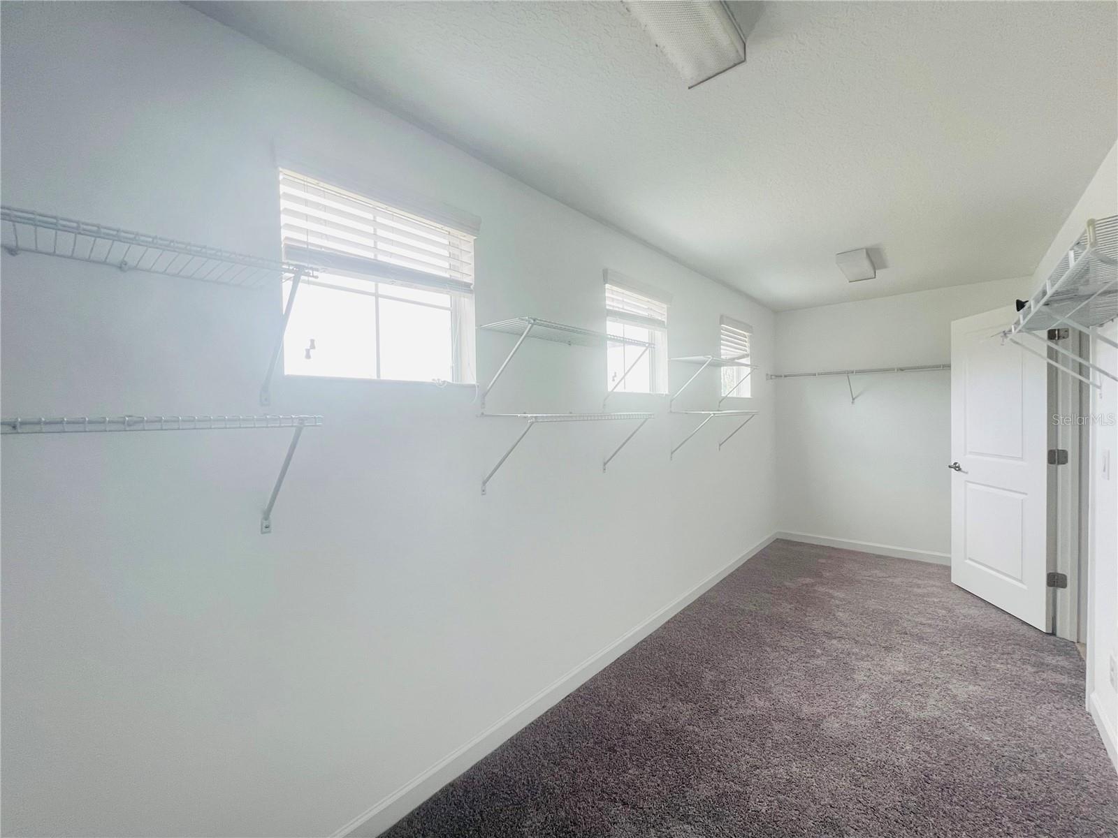 13149 Green Violet Dr Property Photo 7