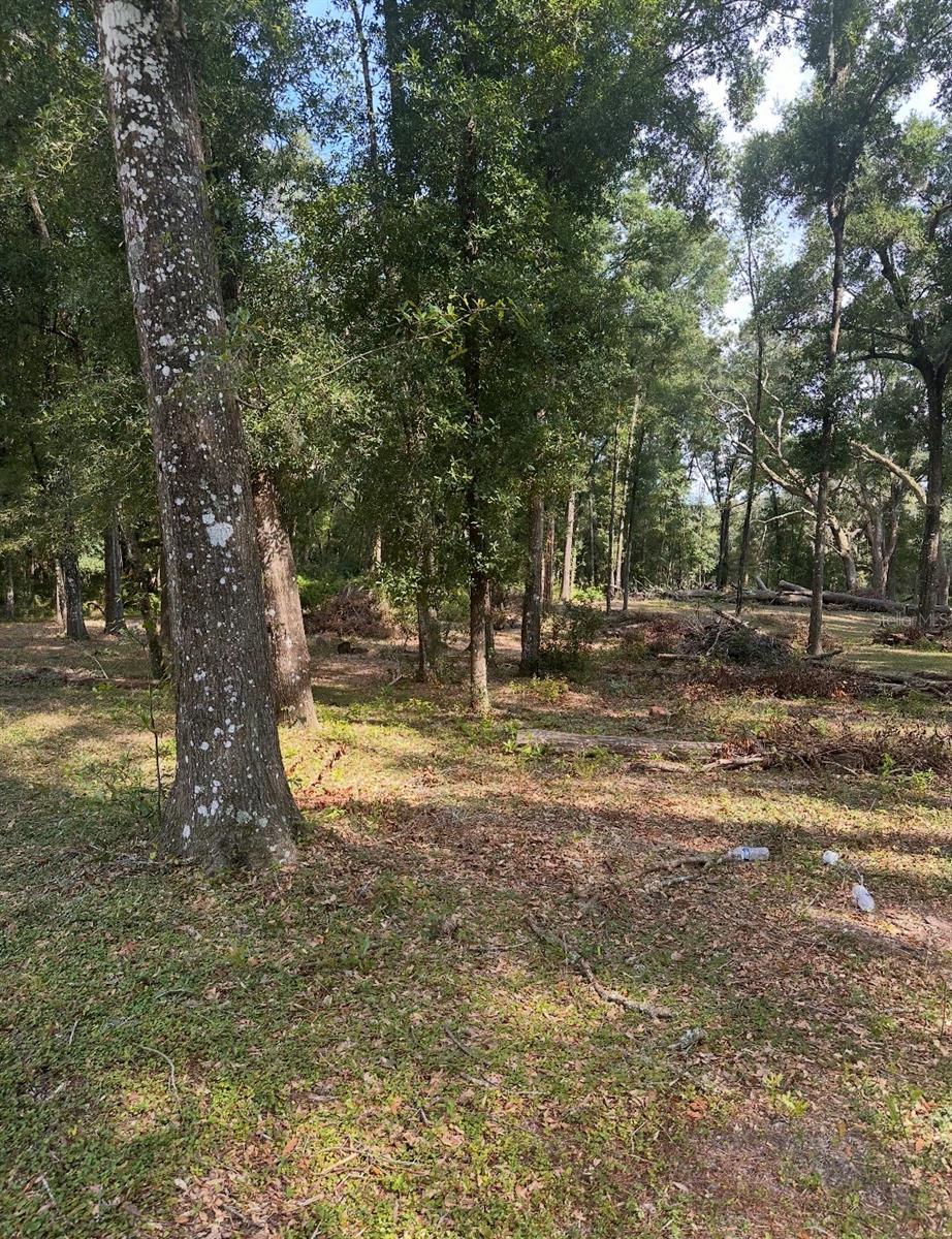 Tbd Sw 111th Ln Property Photo 3