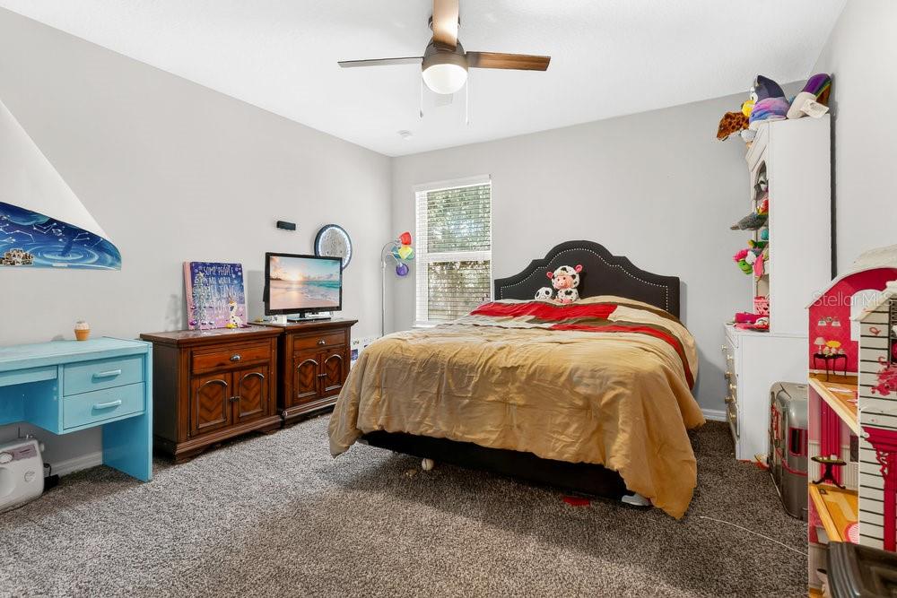 632 Meadow Sage Dr Property Photo 19