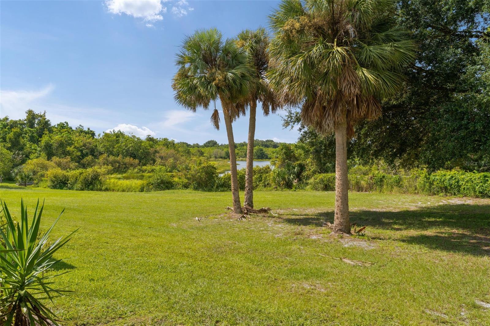 2616 Lake Grassmere Cir #1850 Property Photo 62