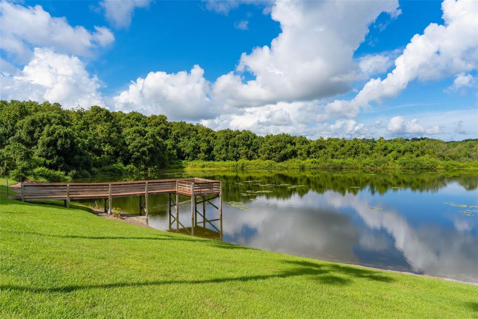 2616 Lake Grassmere Cir #1850 Property Photo 66