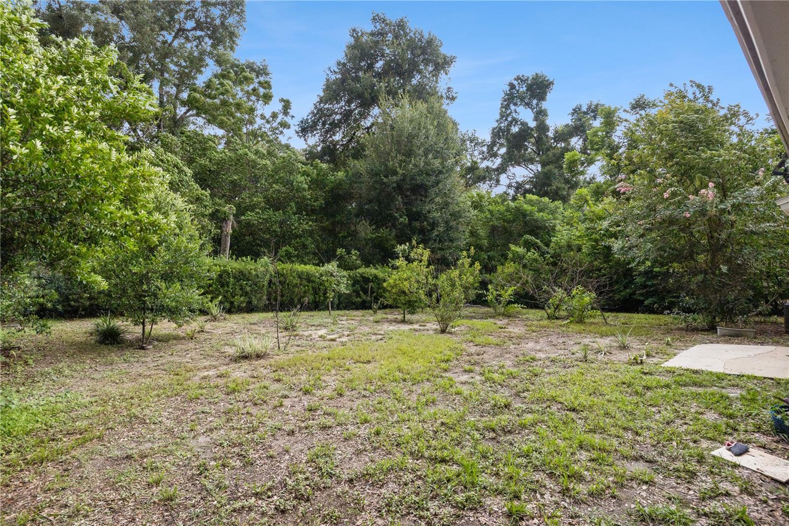3688 Rundo Dr Property Photo 17