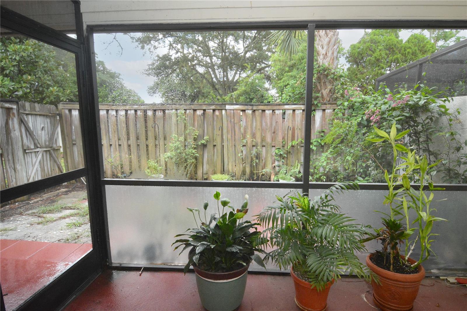 178 W Sabal Palm Pl #178 Property Photo 20