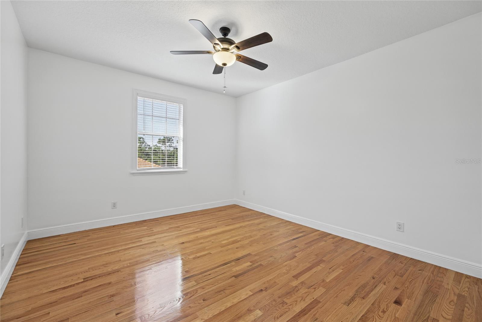 12901 Phillips Rd Property Photo 41