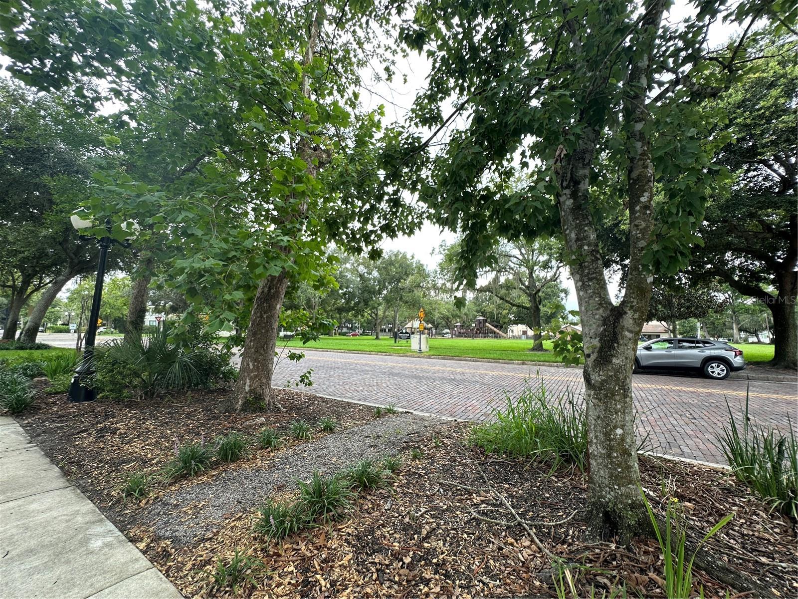 805 S Park Ave Property Photo 23