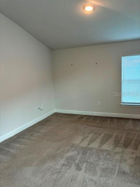 132 Bergamot Loop Property Photo 19