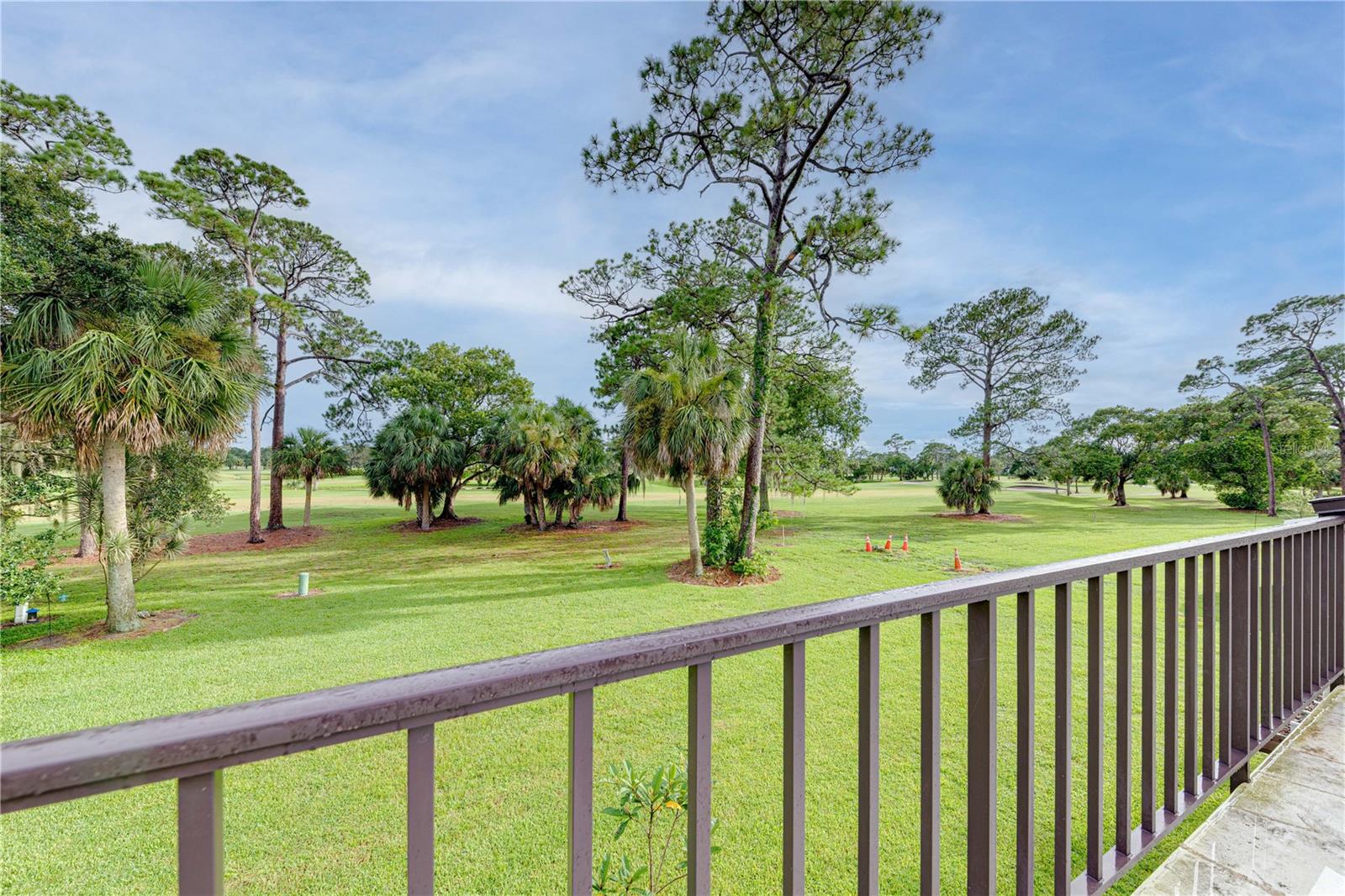 1241 Saint Andrews Dr Property Photo 37