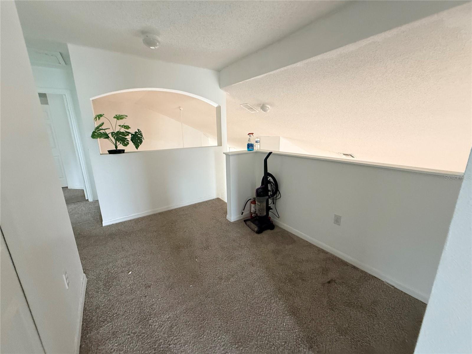 2918 Blooming Alamanda Loop Property Photo 22