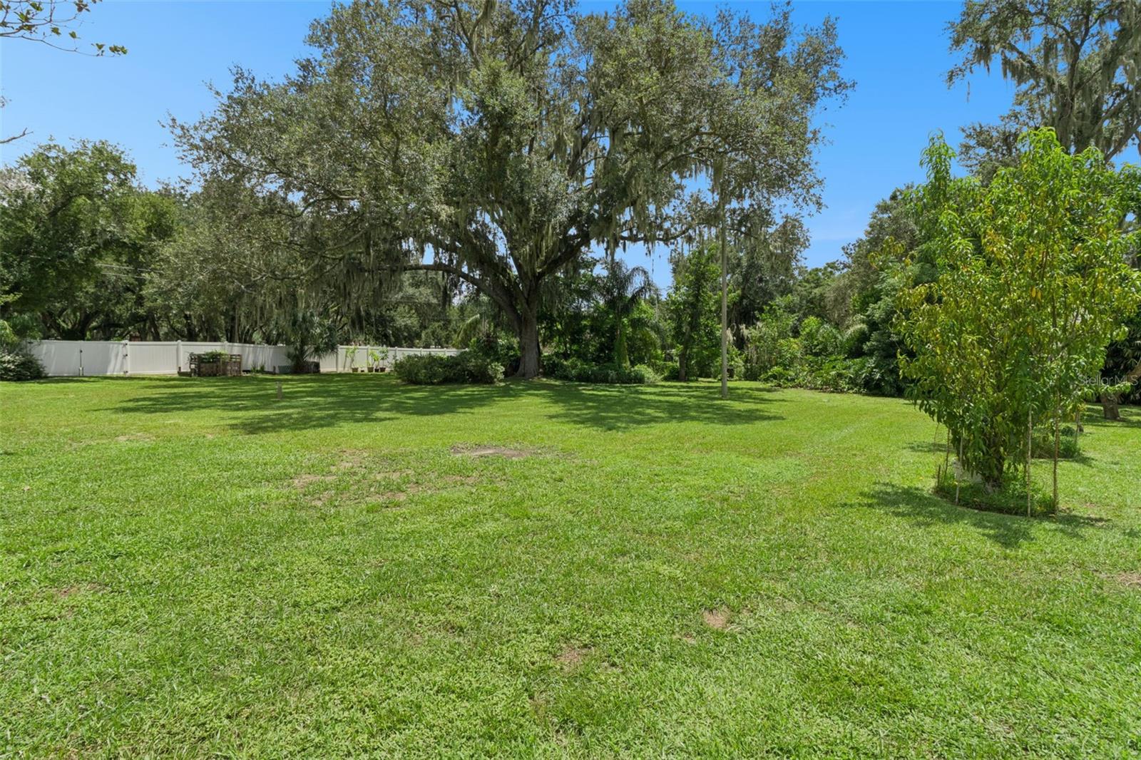 101 Ronele Dr Property Photo 50