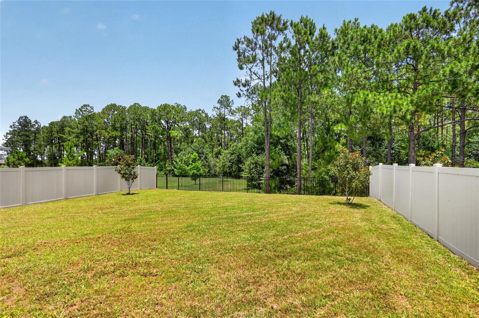 16420 Winding Preserve Cir Property Photo 35