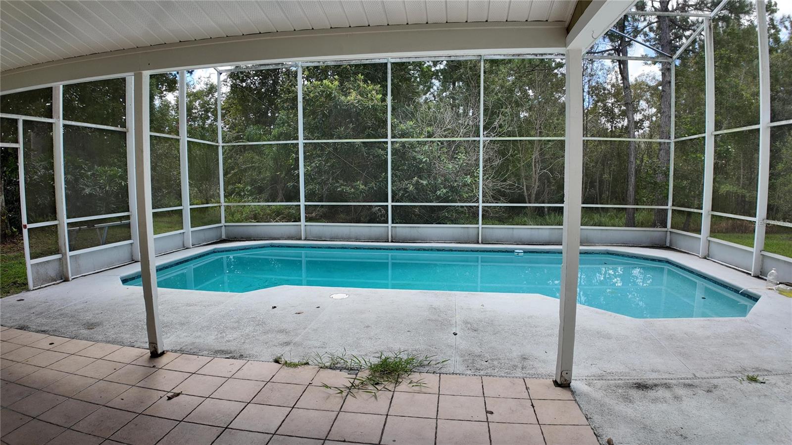 2727 Running Springs Loop Property Photo 28
