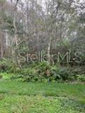 16171 Old Ash Loop Property Photo 14