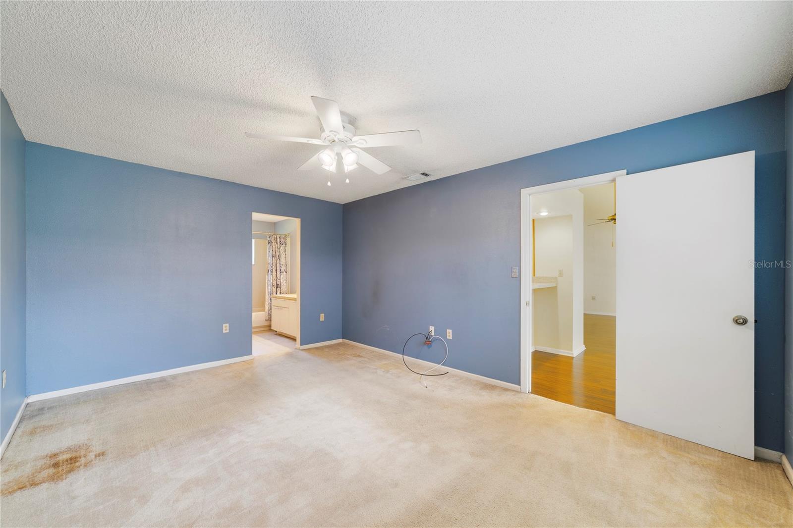 260 W Sabal Palm Pl Property Photo 9