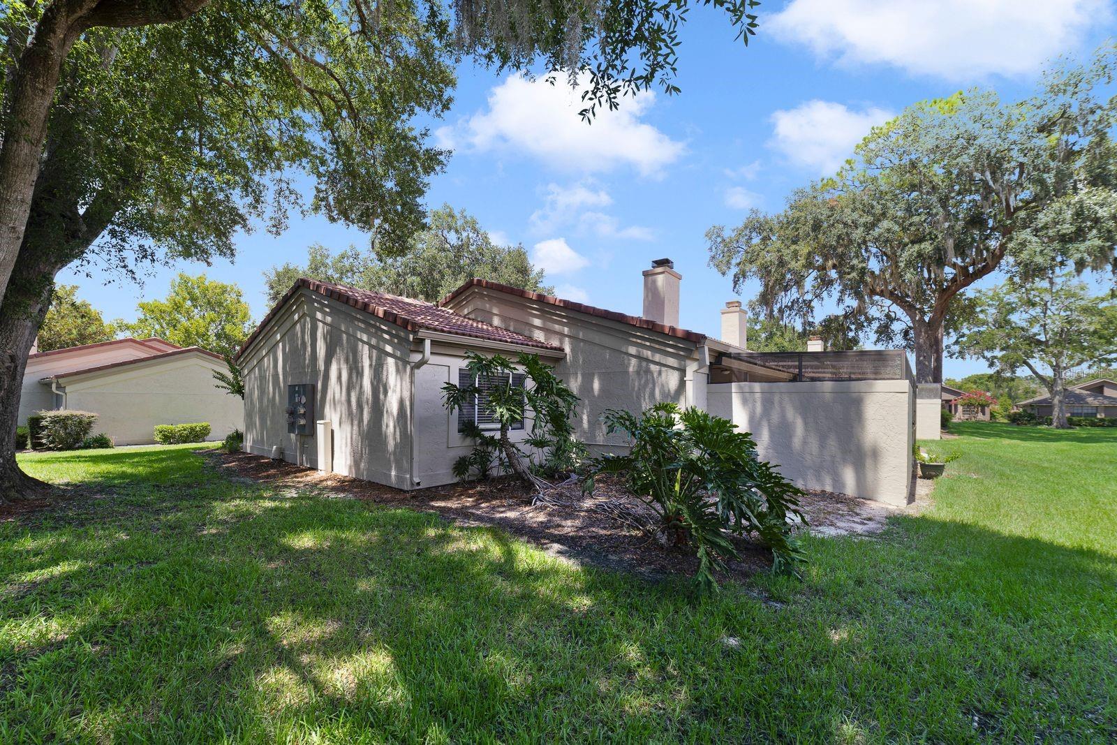 260 W Sabal Palm Pl Property Photo 16