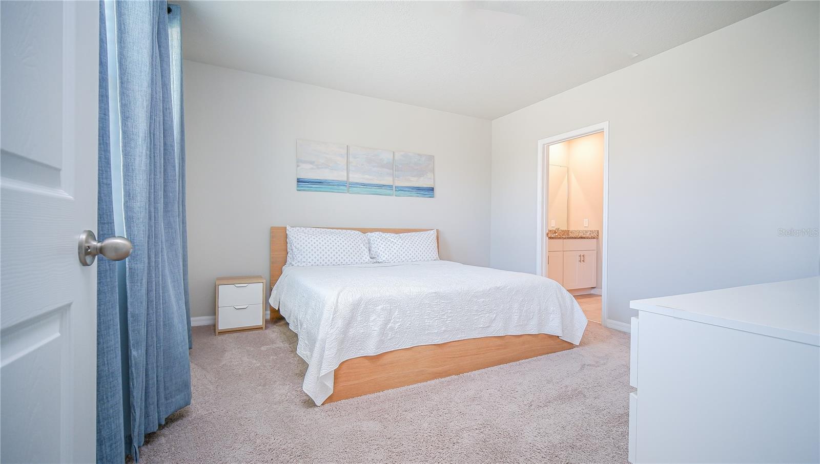 3881 Marbella Way Property Photo 24