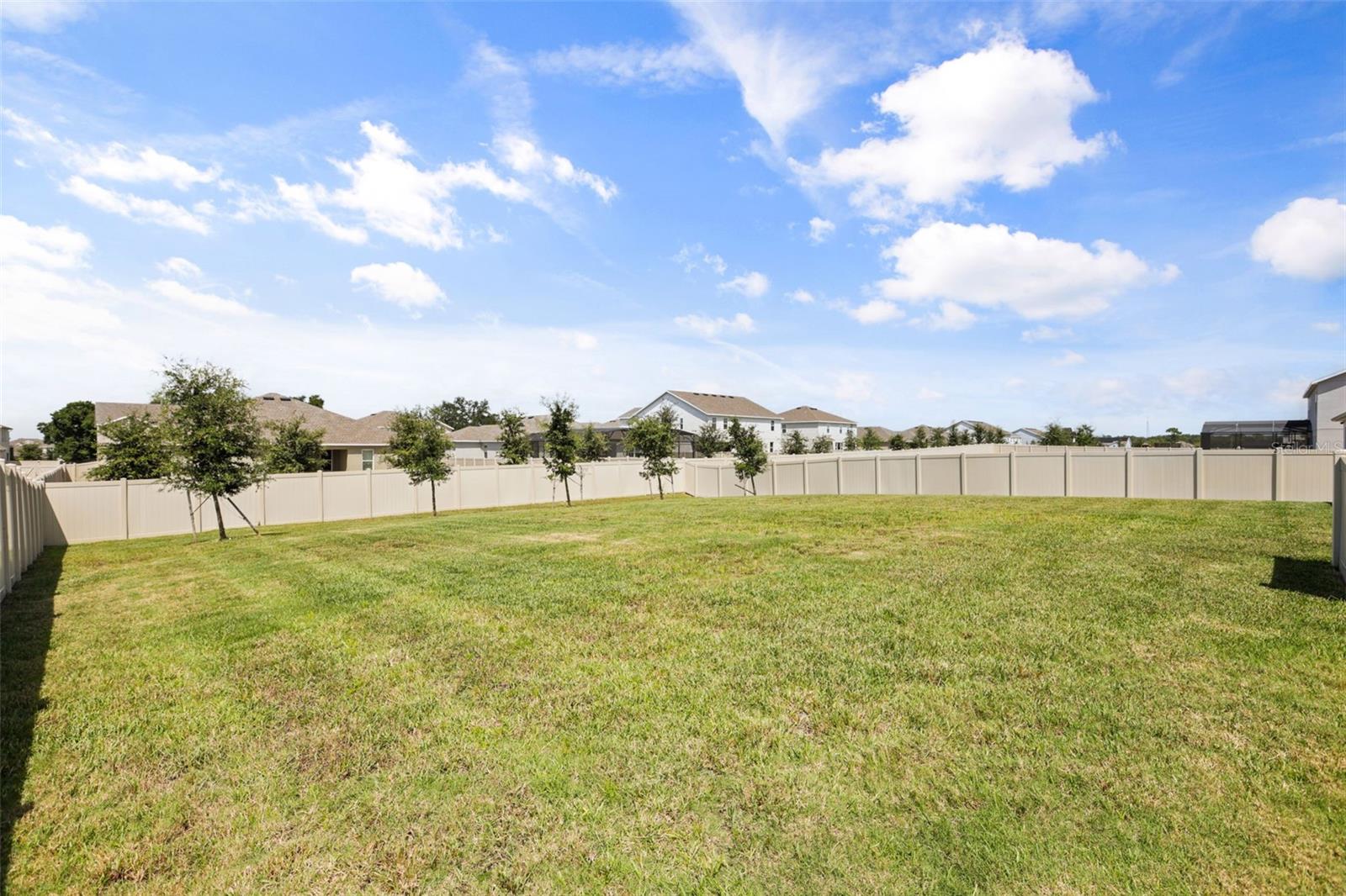 4924 Golden Zenith Way Property Photo 49