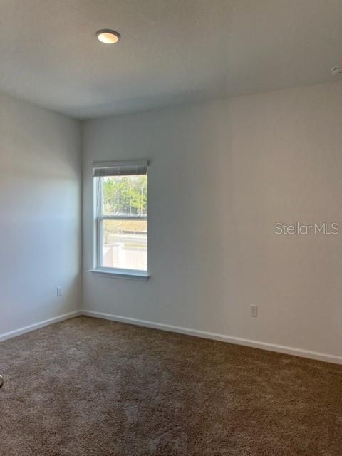 4502 Davos Dr Property Photo 14