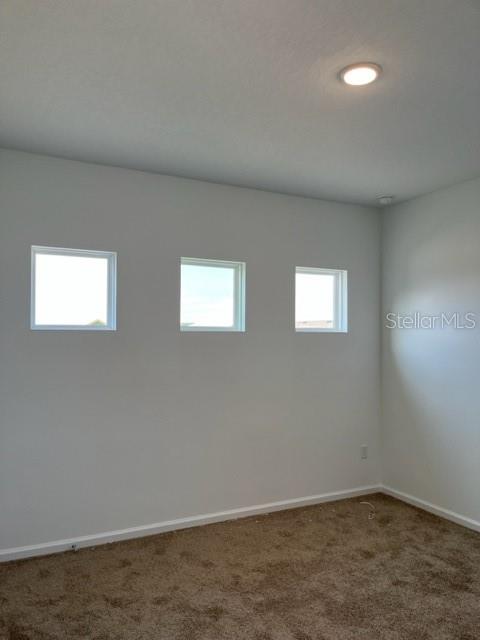 4502 Davos Dr Property Photo 15