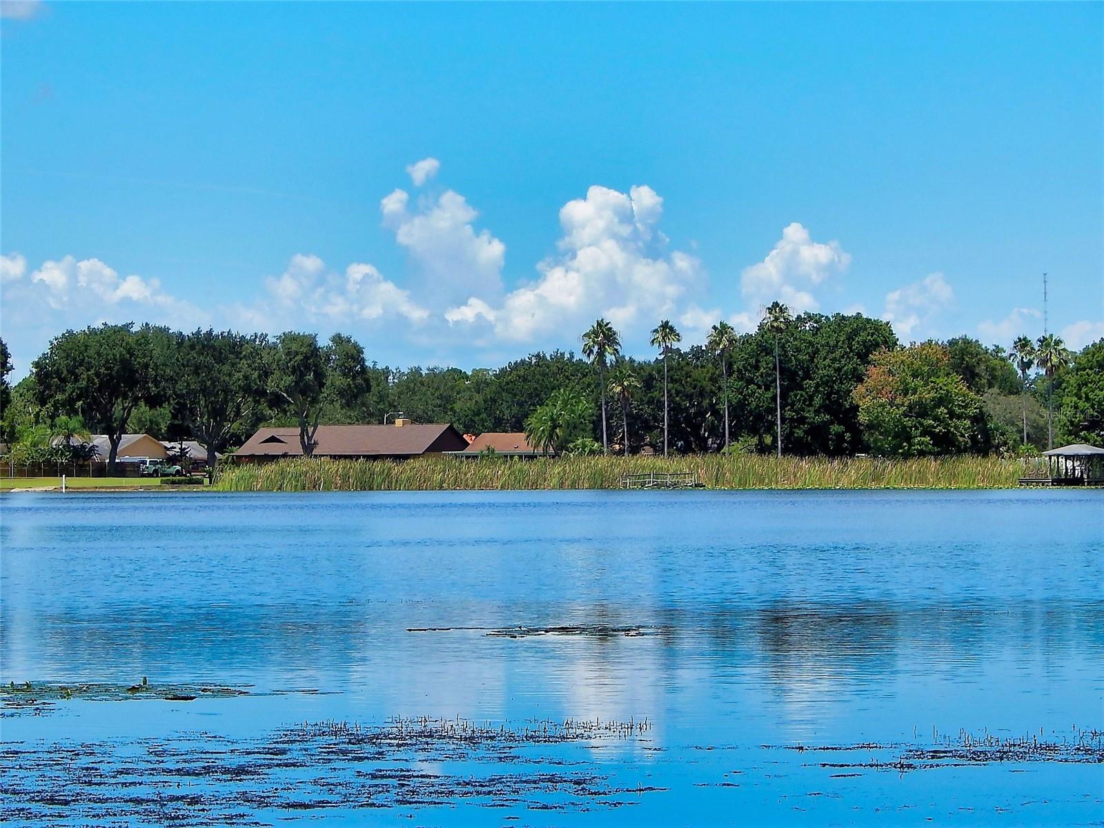 3017 Bay Lake Rd Property Photo 3
